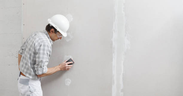 Best Attic Mold Removal  in Lyons, GA