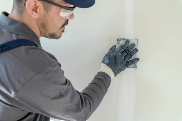 Best Black Mold Removal  in Lyons, GA