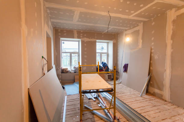 Best Mold Remediation for Healthcare Facilities  in Lyons, GA