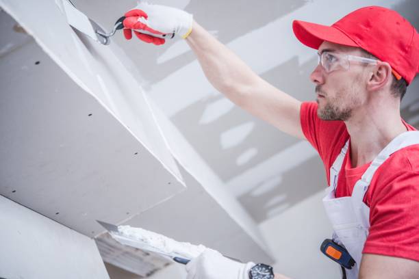 Best Post-Construction Mold Inspection  in Lyons, GA